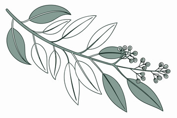 Stylish eucalyptus branch illustration with minimalist design elements © AKHI