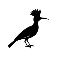 Obraz premium Distinctive Hoopoe Silhouette White Background Unique Bird Wildlife Vector Graphic