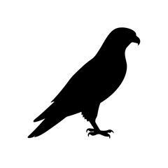 Obraz premium Majestic Falcon Bird Silhouette Swift Hunting Raptor Wildlife Design