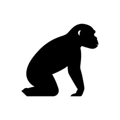 Obraz premium A Chimpanzee Silhouette In Profile For An Intelligent And Great Ape