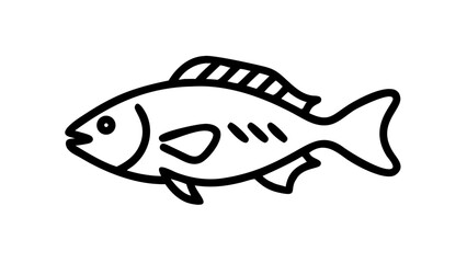 fish vector illustration