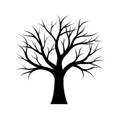 A Leafless Tree With Long Thin Wispy Branches For A Spooky Silhouette