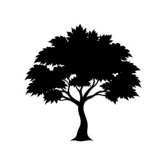 Japanese Maple Tree Silhouette With Delicate And Artistic Branches