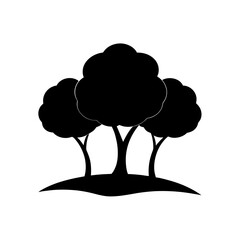 A Group Of Three Leafy Trees Forming A Small Grove For A Park Scene