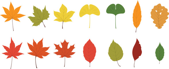 Flat Vector Illustration of Colorful Autumn Leaf Set Icons for Fall Season Decoration and Nature Design