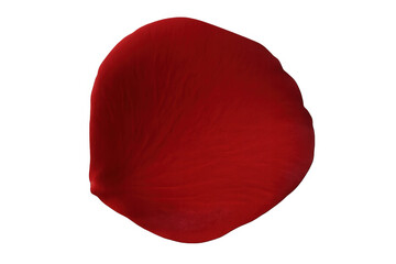 Red rose petal falling gently, isolated on a transparent background, perfect for romantic designs