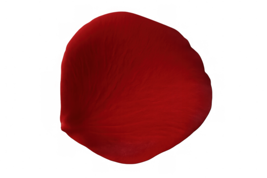 Red rose petal falling gently, isolated on a transparent background, perfect for romantic designs - Powered by Adobe