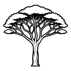 An acacia tree vector.