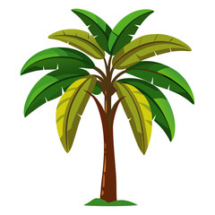 green banana tree isolated