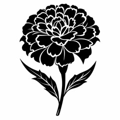 vector illustration of a marigold flower