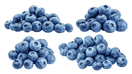 Blueberry isolated on white background, full depth of field