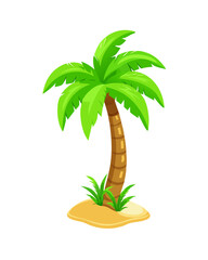 tropical palm trees and coconut on transparent background