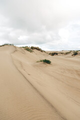 Vast Sand Dune in Denmark – North Sea Coastline