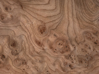 Elm burl veneer with swirling grain patterns and deep, rich textures