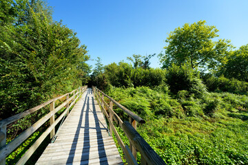 Wood boardwalk through The marshes of the lower valleys of the Juine and the Essonne river. Fontenay-le-Vicomte village