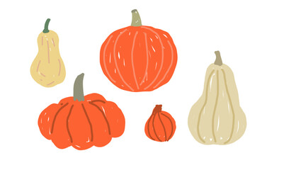 Hand-drawn pumpkins and gourds in orange and beige on white background