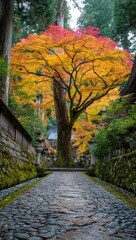 Autumnal path lined with vibrant fall foliage.  A stone walkway leads through a Japanese temple garden, beneath a large, colorful maple tree