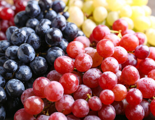 Fototapeta premium ぶどう