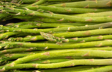 Bunch of Raw Garden Asparagus Textured Background. Fresh Green Spring Vegetables
