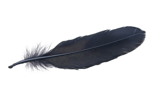 Dark Magic Feather Art Isolated Raven Quill Elegance Fantasy Writing Tool Light Plume Design on transparent background