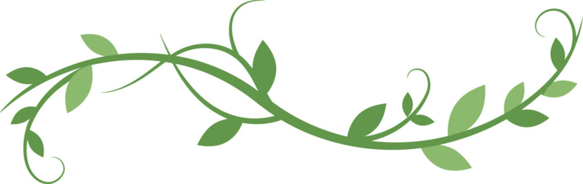 Ornate vine graphic design with stylized leaves.