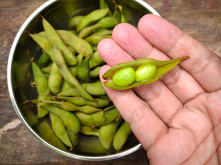 Hand holding green peas. Japanese Raw Edamame Beans, fresh soy beans ready for cooking. 
