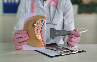 Healthcare professional demonstrates ultrasound woman breast and ultrasound results. The concept of breast disease
