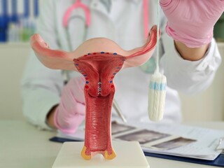 Overview of human reproductive health education using a model and menstrual