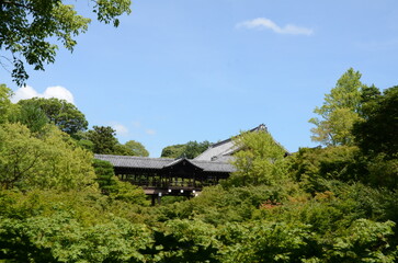 【京都】東福寺の通天橋と青もみじ