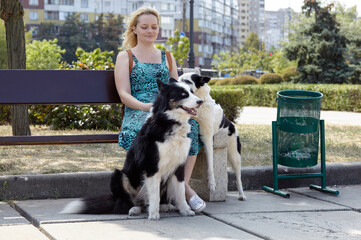 Owner with dogs sitting on a bench in the city park. Friendship of a dog and a woman