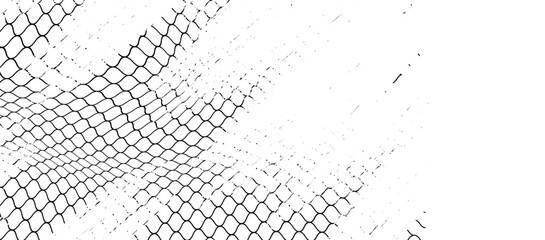 Black snake skin pattern isolated on white background eps 10