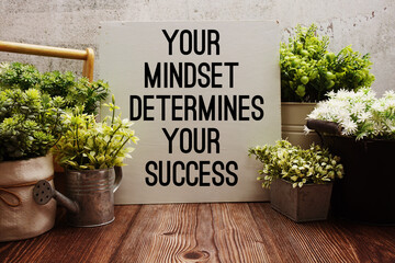 Your Mindset Determines Your Success Motivational and Inspirational quotes