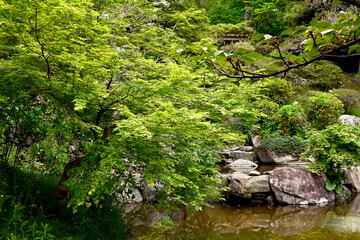 初夏の神戸離宮公園