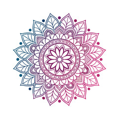 vector illustration of a mandala design berry & dark dewberry gradent color