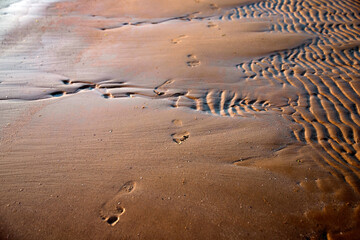 Footprints in the sand at sunset.