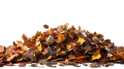 Autumnal Cascade Vibrant Fall Leaves Pile Seasonal Beauty Nature s Palette on transparent background