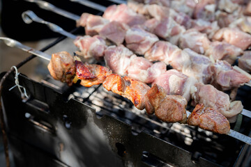 Grilled Meat Skewers on a Barbecue Grill in Outdoor Setting