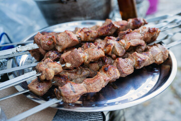 Juicy Grilled Meat Skewers on a Stainless Steel Plate Outdoors