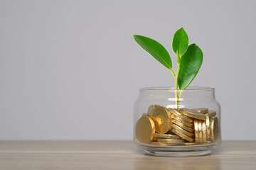 A glass jar filled with coins and a green plant sprouting from them symbolizes growth, prosperity,...