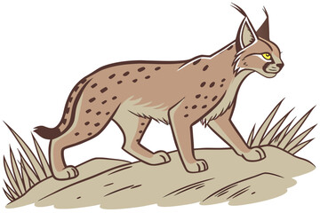 Diverse Wildlife Illustrations: Caracal, Koala, Puffin, Hummingbird, Tasmanian Devil, Pronghorn, Magpie, Raccoon, Lemur, Sloth, Duckling, Quail, Monitor Lizard, Grasshopper, Cassowary, Okapi, Pheasant