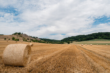 Dry straw bales on a field after harvest, blue sky, rural landscape