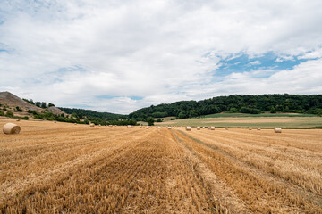 Round hay bales are scattered across the dry field with remaining straw stems