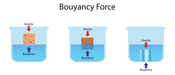 Illustration of buoyancy force and gravity acting on different materials: sponge, wood, and metal, showing how objects float, sink, or partially submerge in water