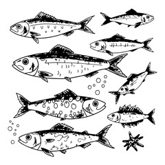 Fototapeta premium Sardine Fish Silhouette Pack – Printable and Editable Vector Art