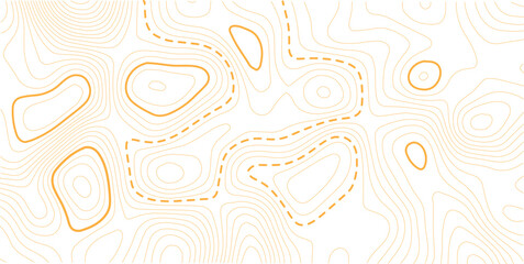topography contour map white wave paper and curve golden color lines vector background.Abstract topographic contour map and geographic mountain relief background design