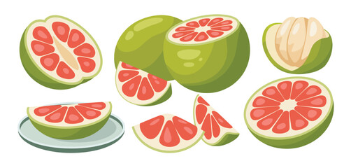 Fresh Pomelo Fruit Slices and Whole Fruits Illustration