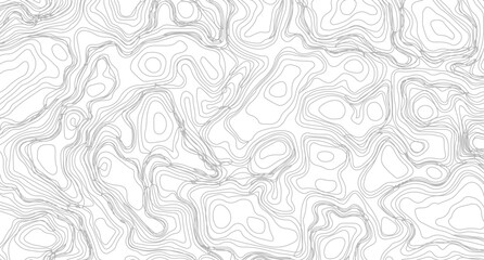 Fototapeta premium Abstract black and white topographic contours lines of mountains. Abstract wavy and curved lines background. Abstract pattern with Lines.