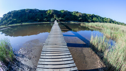 River Lagoon Raised Wood Path Wetland Landscape