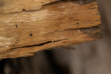 Pile of split firewood, ready for burning. Close-up of weathered wooden planks showing knots and...