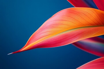 Vibrant close-up of a tropical leaf.